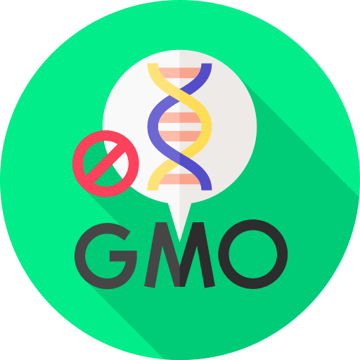 No gmo no gmo healthcare and medical genetic engineering icon No gmo no gmo healthcare and medical genetic engineering icon