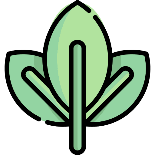 Organic organic vegetarian badge icon Organic organic vegetarian badge icon
