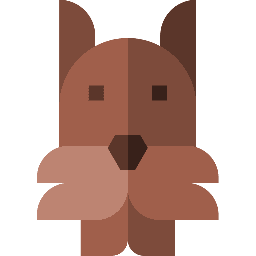 Dog animal kingdom mammal bulldog icon