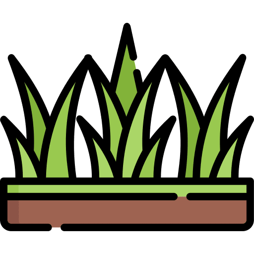Grass botanical grass nature icon