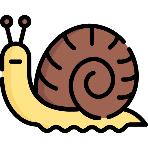 Snail shell animal kingdom animals icon Snail shell animal kingdom animals icon