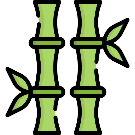 Bamboo nature bamboo botanical icon Bamboo nature bamboo botanical icon