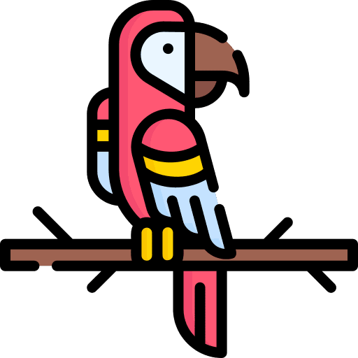 Macaw animals bird animal kingdom icon Macaw animals bird animal kingdom icon