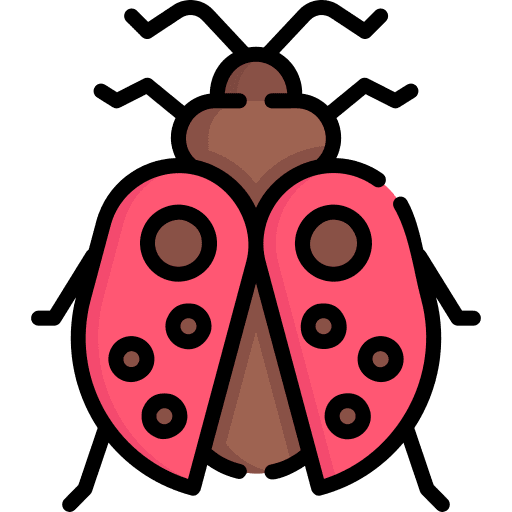 Ladybug bug animal kingdom ladybug icon Ladybug bug animal kingdom ladybug icon