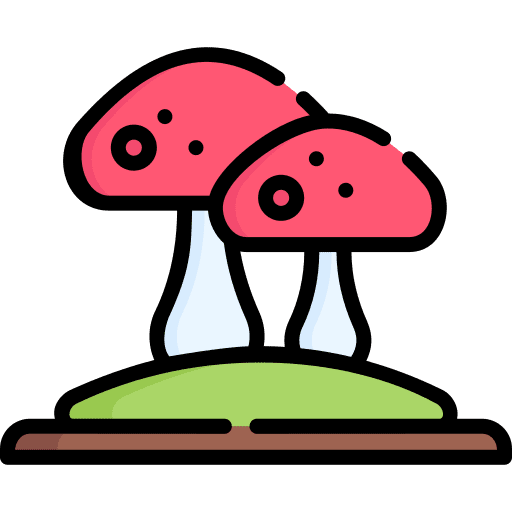Mushroom organic mushroom nature icon Mushroom organic mushroom nature icon