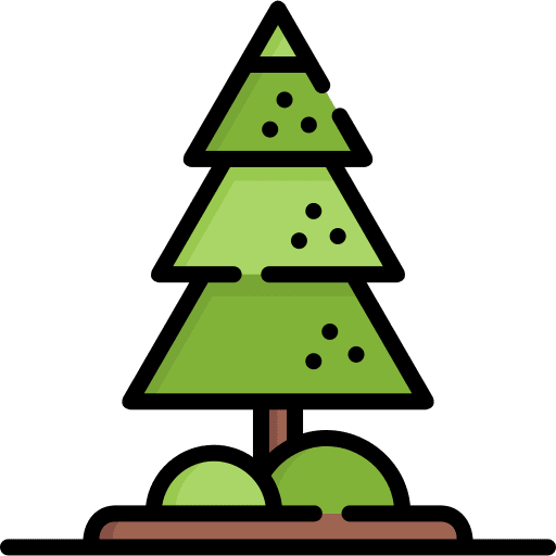 Pine pine fir nature icon Pine pine fir nature icon