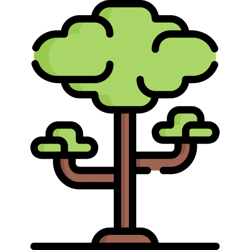 Tree botanical baobab branch icon Tree botanical baobab branch icon
