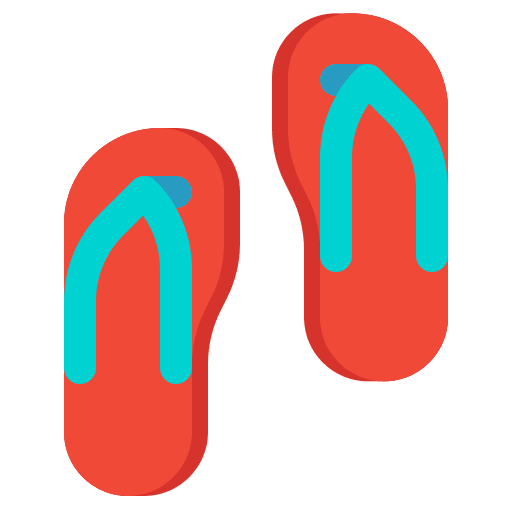 Flip flops summertime sandal fashion icon
