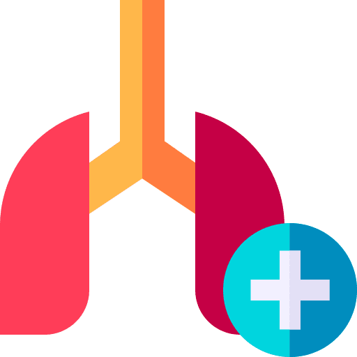 Lungs body parts body organ anatomy icon Lungs body parts body organ anatomy icon