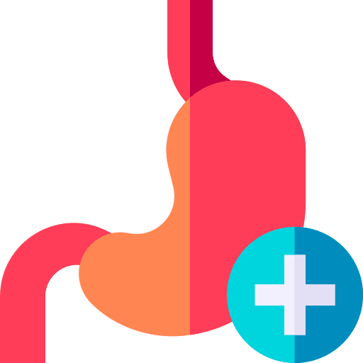 Stomach stomach health organ icon