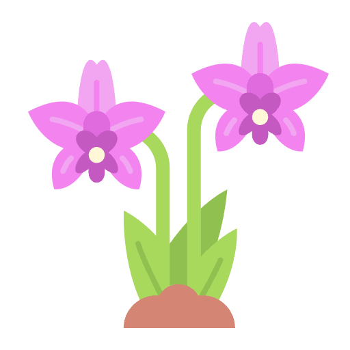 Orchid plant gardening farming and gardening icon