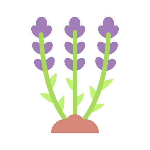 Lavender flower nature aroma icon Lavender flower nature aroma icon