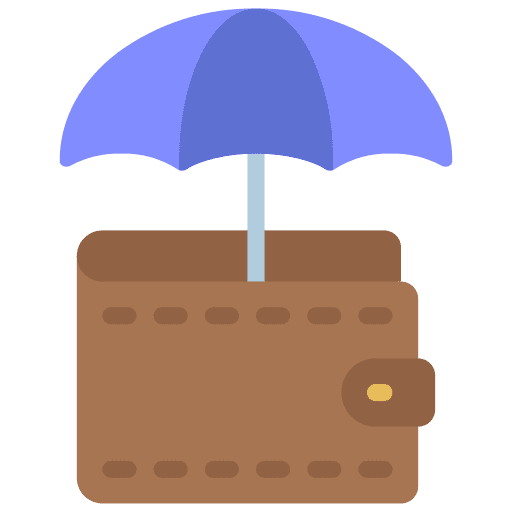 Payment protection wallet payment pay icon