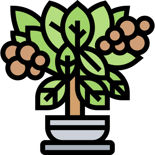 Tree farming and gardening seeds coffee bean icon
