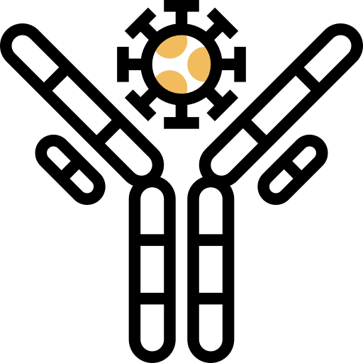 Antibodies molecule antibodies immune icon