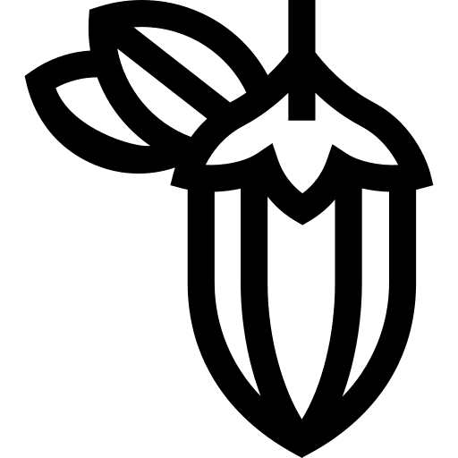 Jojoba organic desert jojoba icon