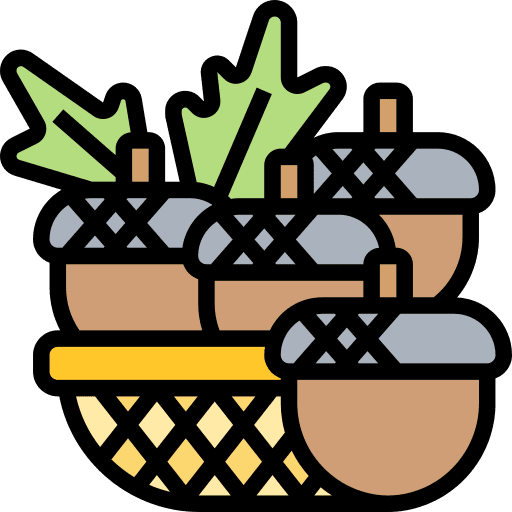 Acorn nut nature healthy food icon Acorn nut nature healthy food icon