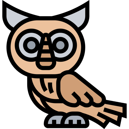 Barn owl bird animal kingdom animals icon