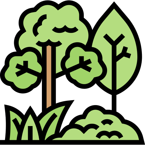 Forest rainforest jungle landscape icon