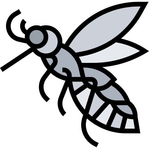 Mosquito mosquito insect animal icon
