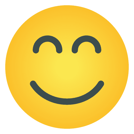Smiles expression face emoticon icon