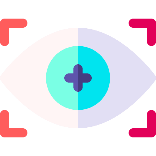 Vision biometric recognition biometric identification eye icon Vision biometric recognition biometric identification eye icon