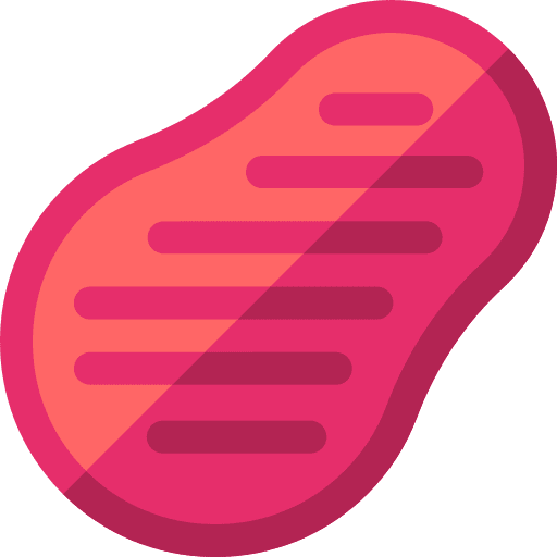 Steak proteins food and restaurant food icon Steak proteins food and restaurant food icon