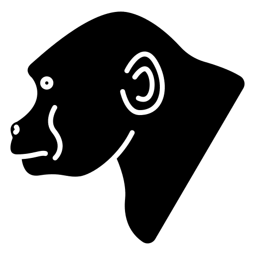 Gorilla wildlife mammal zoology icon Gorilla wildlife mammal zoology icon