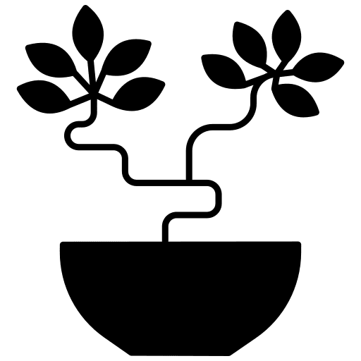 Bonsai plant tree botanical icon