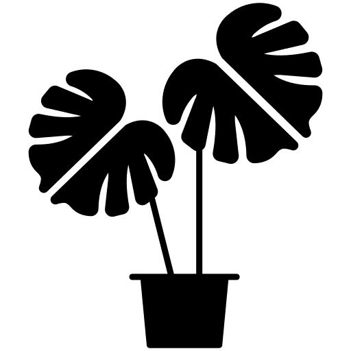 Plant leaf monstera leaves icon