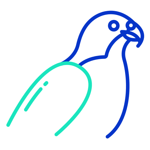 Falcon ornithology eagle animals icon