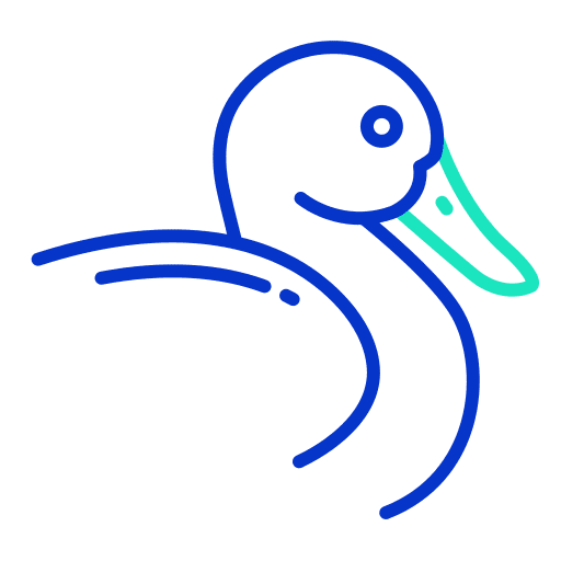 Duck bird fauna animal kingdom icon
