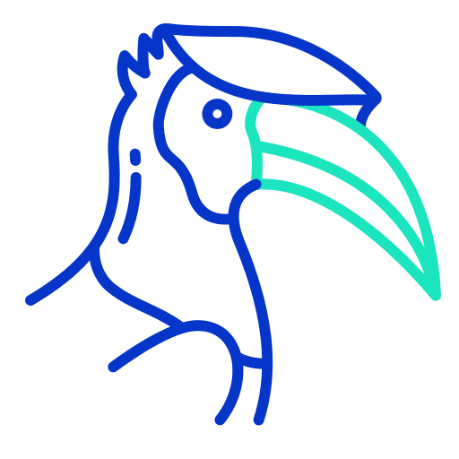 Hornbill bird beak zoology icon