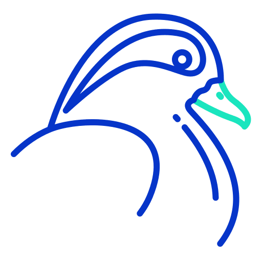 Mandarin face bird animals icon Mandarin face bird animals icon