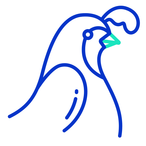Quail bird beak animals icon