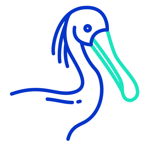 Spoonbill ornithology animal kingdom zoology icon Spoonbill ornithology animal kingdom zoology icon