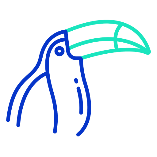 Toucan wild life ornithology bird icon