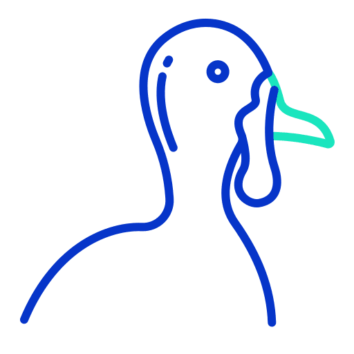 Turkey thanksgiving zoology turkey icon Turkey thanksgiving zoology turkey icon