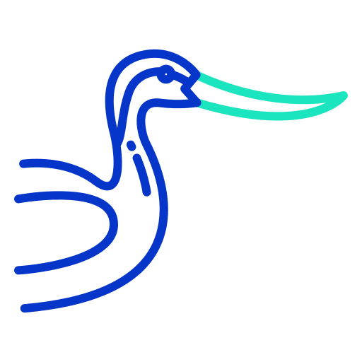Avocet zoology animal kingdom ornithology icon Avocet zoology animal kingdom ornithology icon