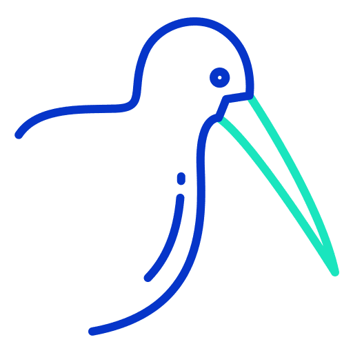 Kiwi zoology kiwi fauna icon Kiwi zoology kiwi fauna icon