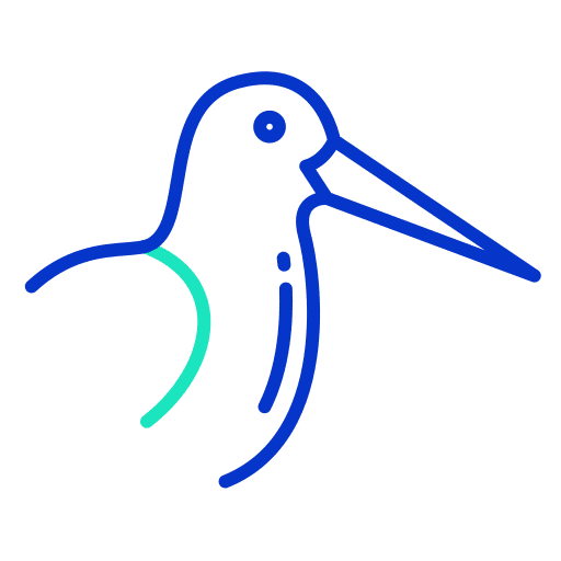 Oystercatcher animals ornithology zoology icon Oystercatcher animals ornithology zoology icon