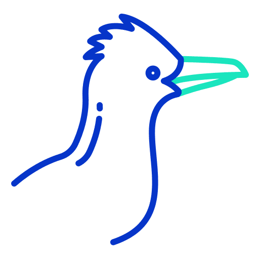 Roadrunner roadrunner ornithology bird icon Roadrunner roadrunner ornithology bird icon