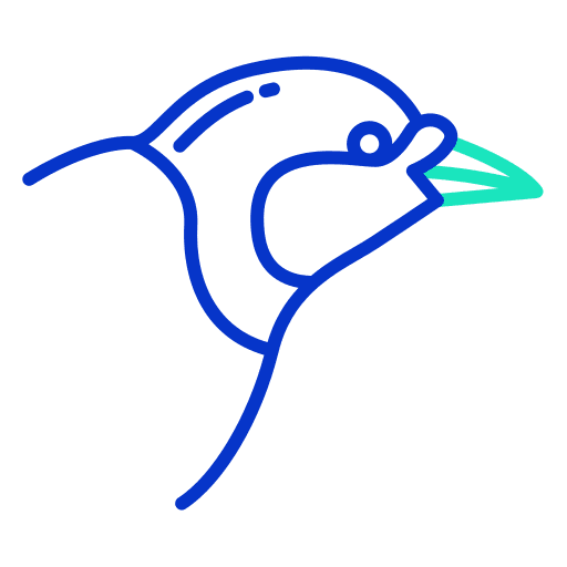 Bird animal kingdom bird ornithology icon Bird animal kingdom bird ornithology icon