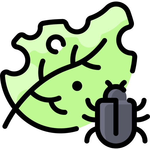 Leaf animals bug leaf icon