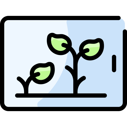 Growth growth agriculture plant icon