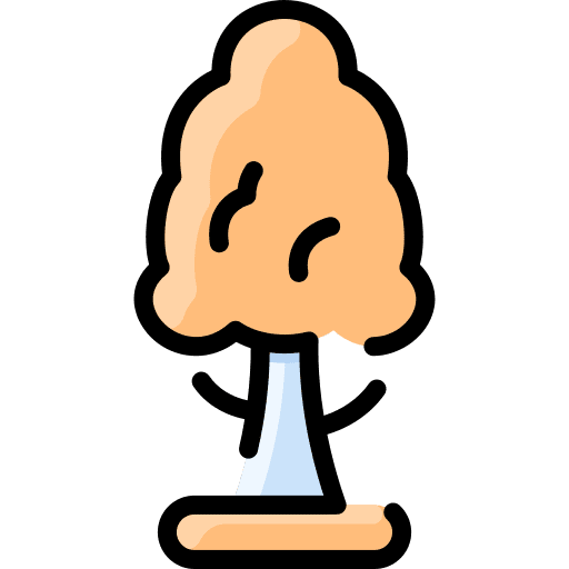 Aspen tree aspen environment icon