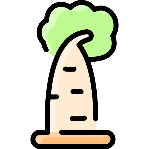 Baobab tree forest woodland icon Baobab tree forest woodland icon