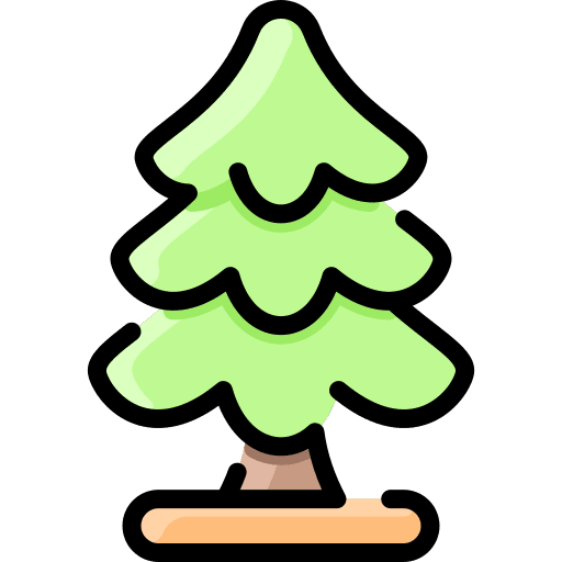 Fir botanical forest tree icon
