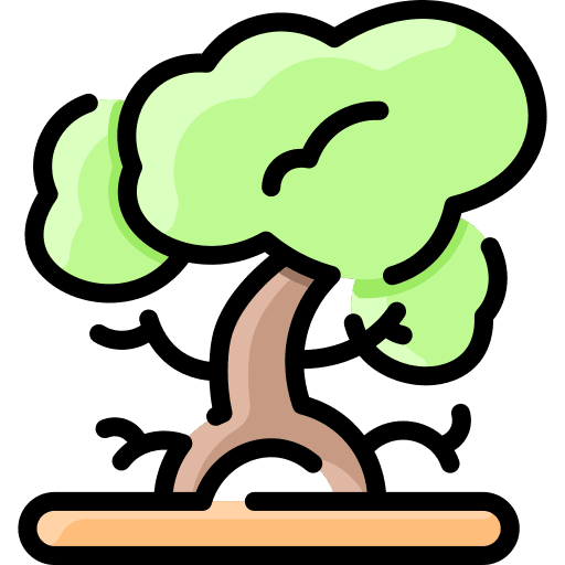 Mangrove wood tree woodland icon