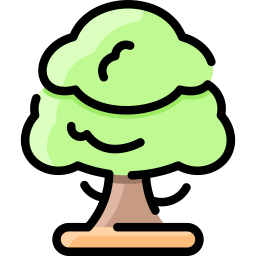 Sycamore botanical sycamore forest icon